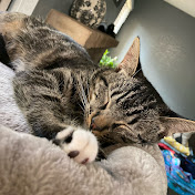 Scott Saxton  - Youtube Profile Picture of Scott Saxton  (@scottsaxton) on Youtube