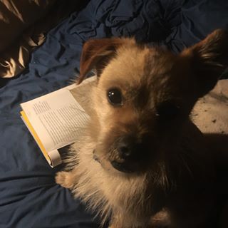 Profile Picture of Daniel A Newville (@Daniel-A-Newville) on Facebook