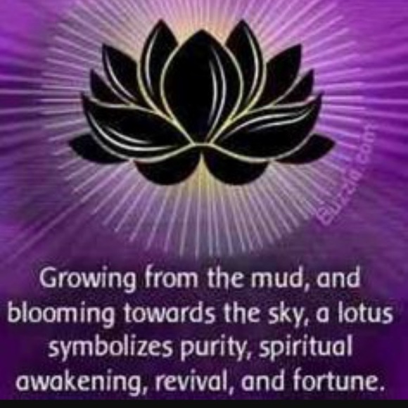 Robert Moye - Poshmark Profile Picture of Robert Moye (@moye8175) on Poshmark