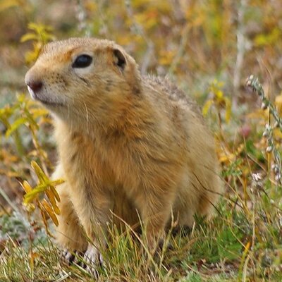 Profile Picture of Tom Wechsler (@houdebaeseler) on Twitter