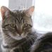 Profile Picture of Audrey Bernard (@audrey.bernard.12914) on Facebook