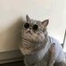 Profile Picture of Joseph Alesandro (@joseph.alesandro.1) on Facebook