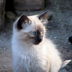 Profile Picture of Mario Cortés Ortiz (@mario cortés ortiz) on Flickr