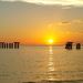 Profile Picture of Ablestoreonline.store (@jayeson65) on Pinterest