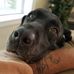Profile Picture of Dan Balderston (@dan.balderston.79) on Facebook