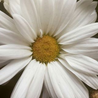 Profile Picture of Adam Brooke (@Adam-Brooke) on Facebook