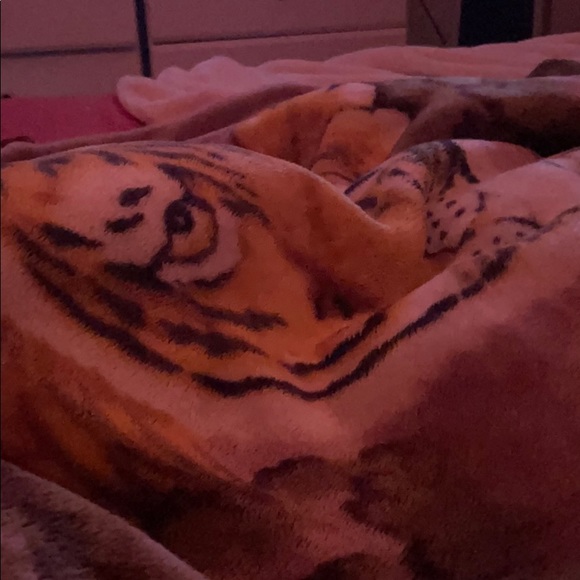 Profile Picture of Kandra Querubin (@kandraq) on Poshmark