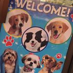 Profile Picture of Chris Dog Grooming (@chrisdoggrooming) on Instagram