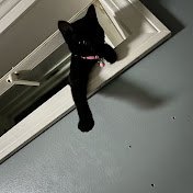 Profile Picture of Mark Pesce (@Gunbuster277) on Youtube