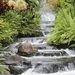 Profile Picture of Paul Steensen (@paulsteensen) on Pinterest