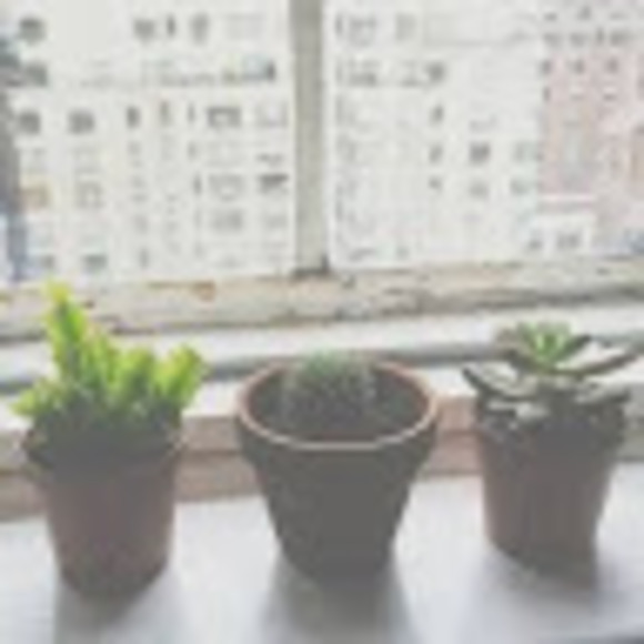 Profile Picture of Hannah Huesser (@hhuesser) on Poshmark