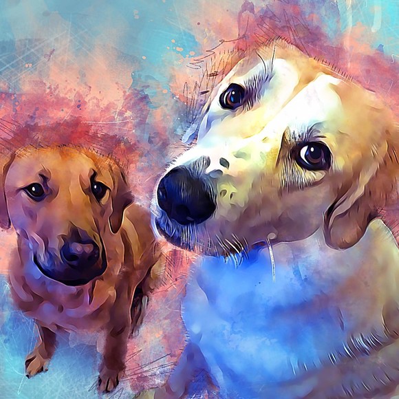 Profile Picture of Karyn Missimer (@ktmissimer) on Poshmark