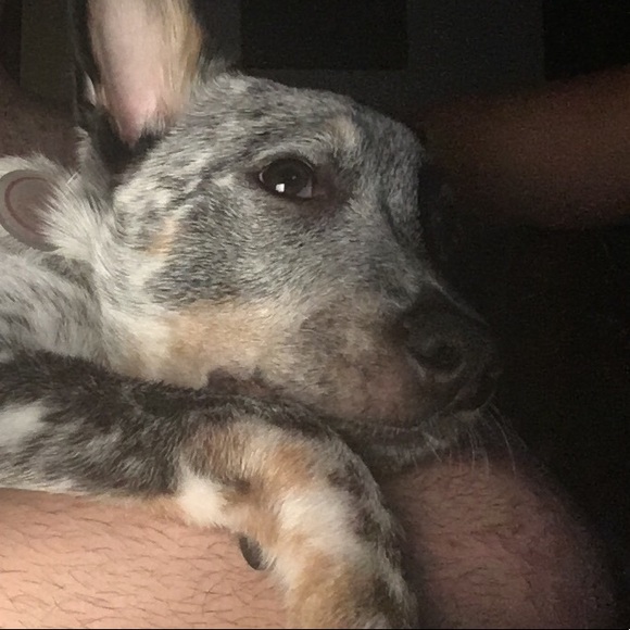 Profile Picture of Brian Klug (@bklug2000) on Poshmark