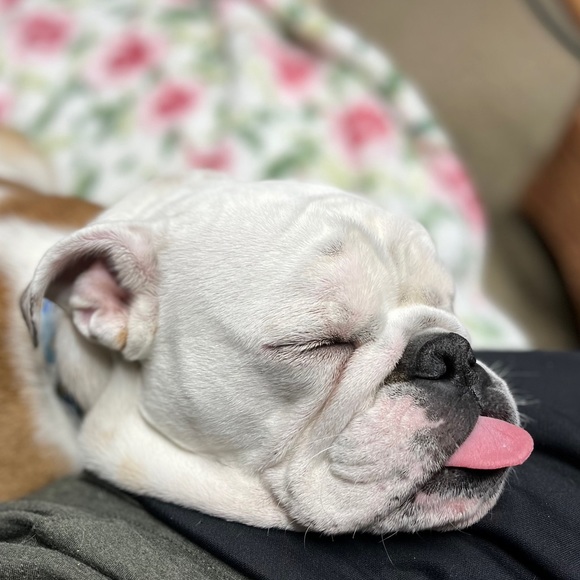 Profile Picture of Donovan Alexander (@donovanalexa808) on Poshmark