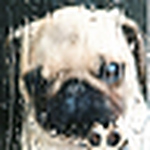 Profile Picture of Katha_leen (@katha_leen) on Flickr