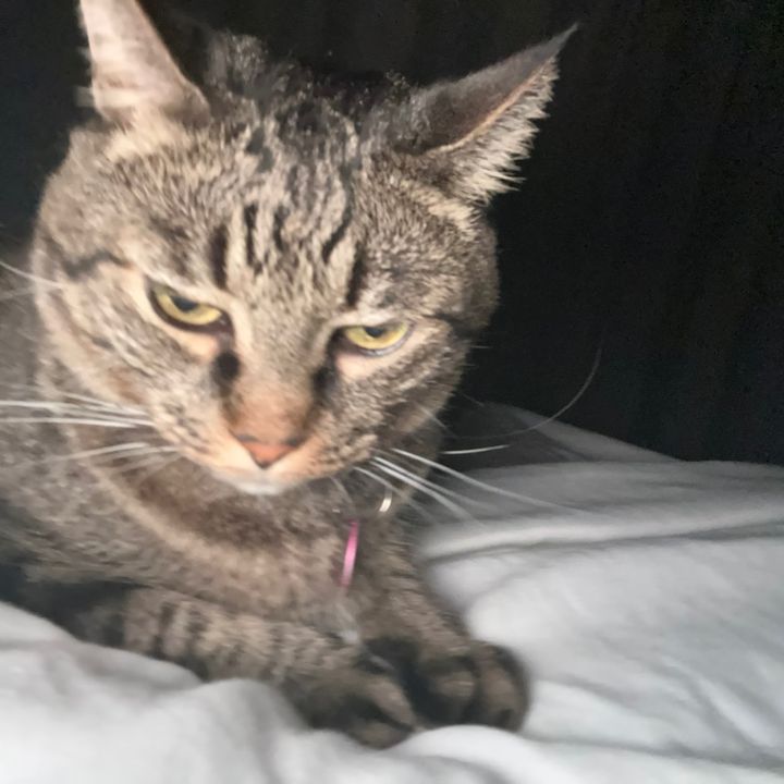 Profile Picture of Jessica (@jessicavrod) on Tiktok