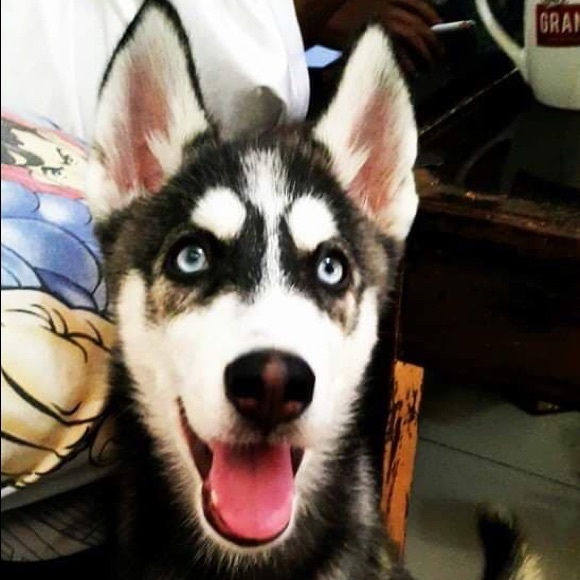 Profile Picture of Agitha Leguier (@agitha_leguier) on Poshmark