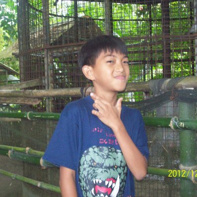 Profile Picture of Challes (@cydric_solis) on Twitter
