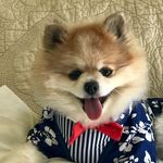 Profile Picture of Jessica Waldorf Zuckerman (@jessicawaldorfzuckerman) on Instagram