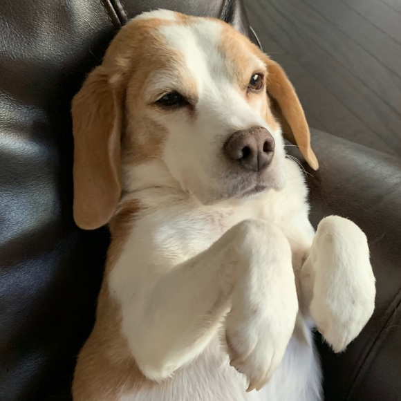 Profile Picture of Patrick North (@patricknorth) on Poshmark