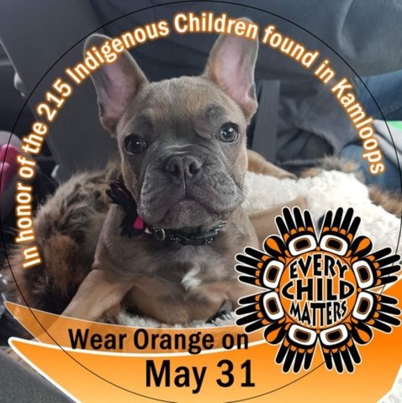 Profile Picture of Bobbie jo Toewsmaracle (@tigoratu74) on Poshmark