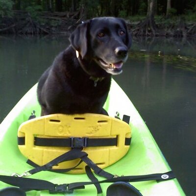 Profile Picture of Chris Milton (@CCMilton) on Twitter