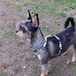 Alex Burian - Instagram Profile Picture of Alex Burian (@alexburian739) on Instagram