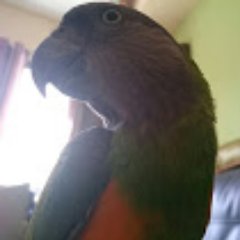 Tamir Azogui - Twitter Profile Picture of Tamir Azogui (@TamirAzogui) on Twitter