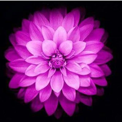 Profile Picture of Imran_chughtai (@imran_chughtai9) on Twitter