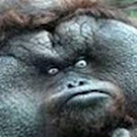 Profile Picture of Michael Karras (@michael-karras-8) on Quora