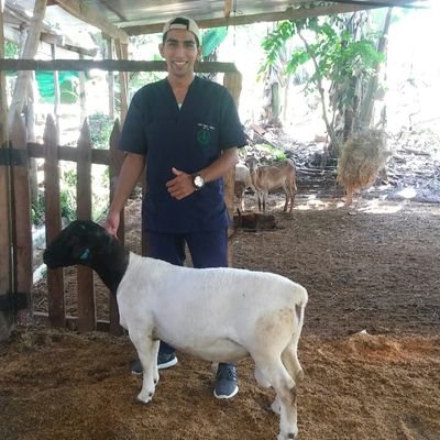 Profile Picture of Juan Pablo Torrez (@juantorrez1103) on Twitter