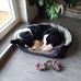 Profile Picture of Susanne Kraft (@susanne.kraft.1671) on Facebook