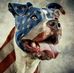 Profile Picture of Tammy Trapp (@tammy.trapp.186) on Facebook