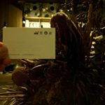 Profile Picture of 山里日紅｜高雄草衙店 (@sunriserepot_kh) on Instagram