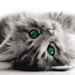 Profile Picture of Daniela Nehls (@danielanehls) on Instagram