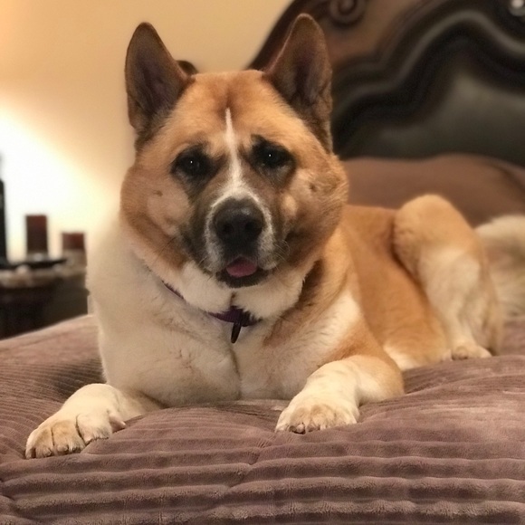 Profile Picture of Glenn Worley (@gworley77) on Poshmark