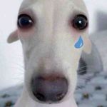 Profile Picture of I cant think of a quirky name (@sunscreen_dining_hall) on Instagram