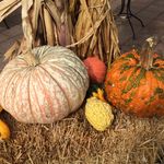 Profile Picture of David Zollner (@djzollner) on Instagram