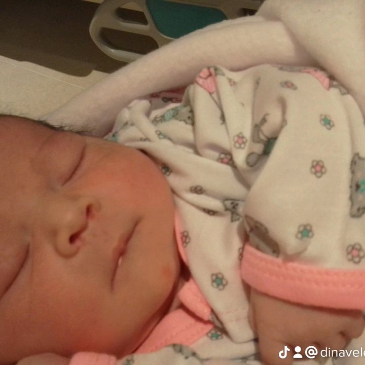 Profile Picture of Dina Velez (@dinavelez2) on Tiktok