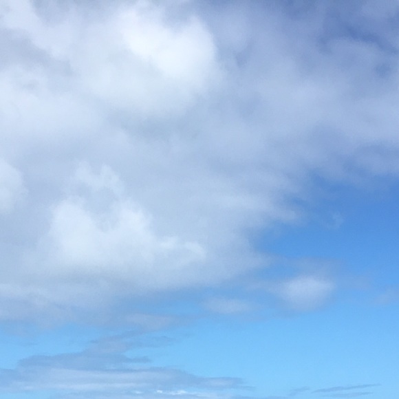 Profile Picture of Lauren Syphers (@laurensyphers) on Poshmark