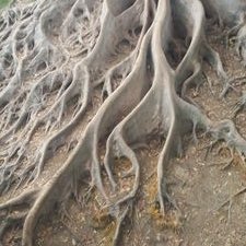 Profile Picture of Jay Diener-Brazelle (@DienerJay) on Twitter