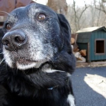 Profile Picture of Janet Purcell (@esljanet) on Twitter