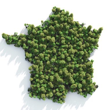 Profile Picture of Brian Tabaka (@BrianTabaka) on Twitter