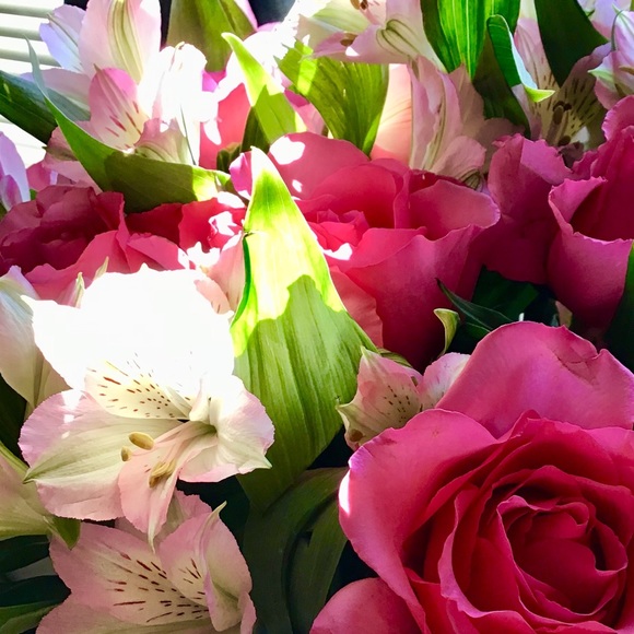 Profile Picture of Lia Niebauer (@new_adventures) on Poshmark