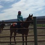 Profile Picture of abby Kapp (@barrle_racer_99champ) on Instagram