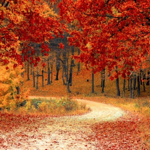 Profile Picture of Carlos Carballo (@ccarballo2005) on Poshmark