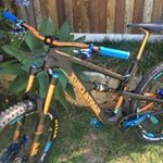 Profile Picture of Mark Polo  Harrison (@markharrison1969) on Instagram