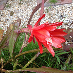 Profile Picture of wei xue (@wei xue) on Flickr