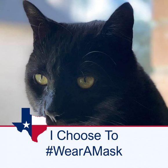 Profile Picture of Julia Devore (@socksohara) on Poshmark