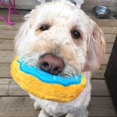 Profile Picture of Kim O'Malley (@@kimomalley2) on Tiktok